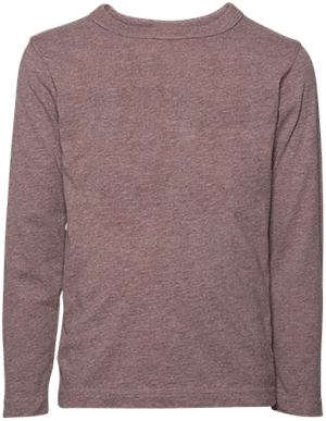 Hanes Men's Humor Graphic T-Shirt