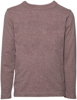 Hanes Men's Humor Graphic T-Shirt